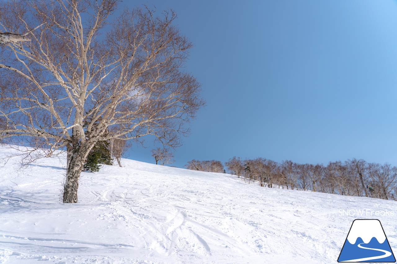 キロロリゾート｜まだまだ山頂は積雪４ｍ超！楽しい春スキー＆スノーボードシーズン到来です(^^)v